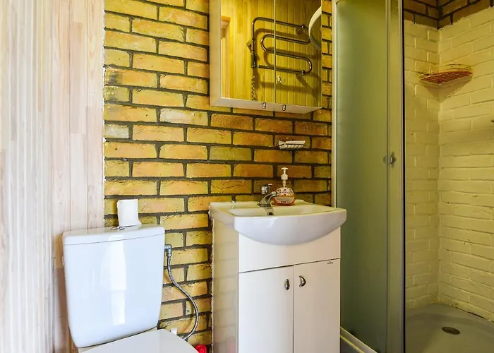 Eimio Alpesi faház Palanga